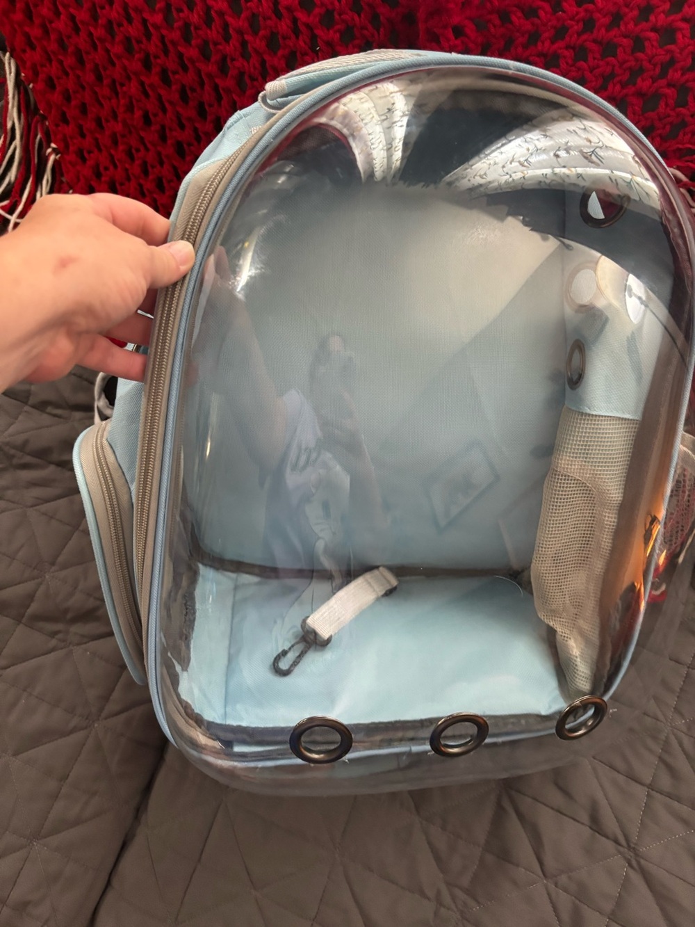 Pet backpack..blue..(NWOT)